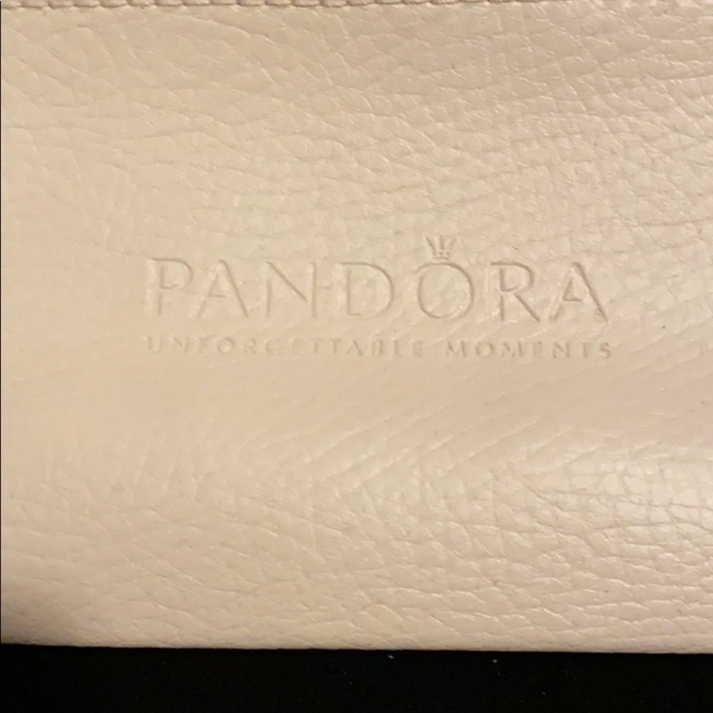 PANDORA CASE HOLDER - Picture 4 of 7